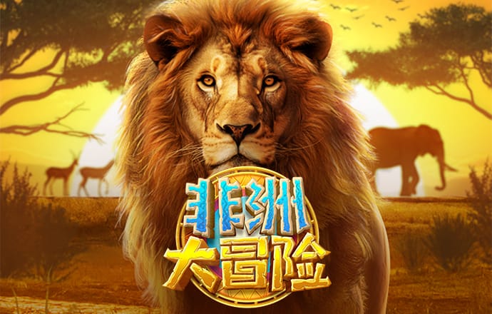 BCK体育官网入口